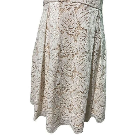 Francesca's Louise Scallop V-Neck Palm Lace A-Line Dress Mini Dress - Picture 8 of 10